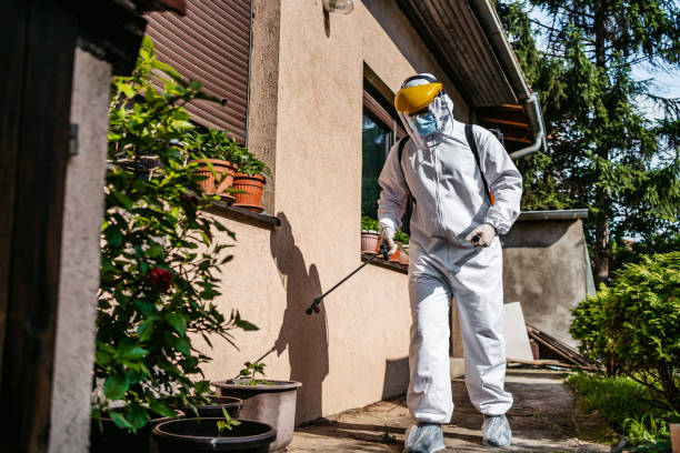 Best Wasp Removal Services  in Adamsville, AL