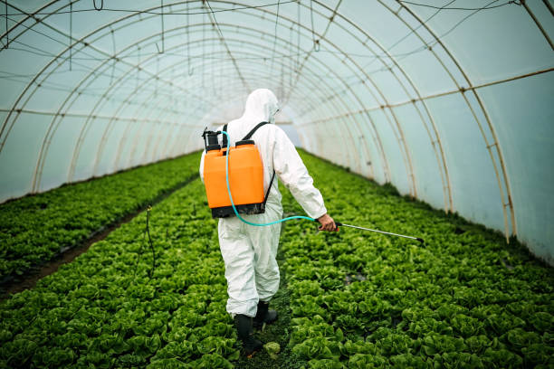 Best Best Pest Control Companies  in Adamsville, AL