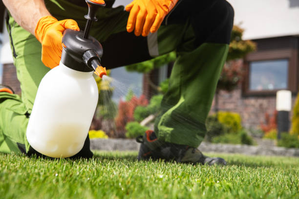 Best Mosquito Control Services  in Adamsville, AL