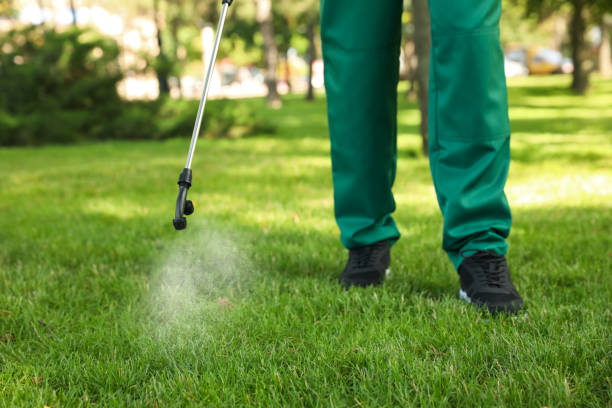 Best Insect Control  in Adamsville, AL