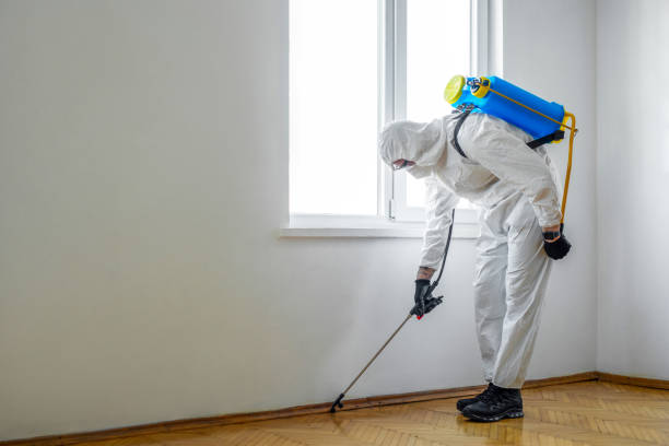 Best Affordable Pest Control Services  in Adamsville, AL
