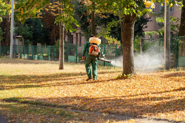 Best Commercial Pest Control Services  in Adamsville, AL