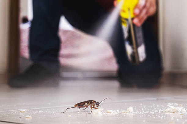 Best Pest Control Near Me  in Adamsville, AL