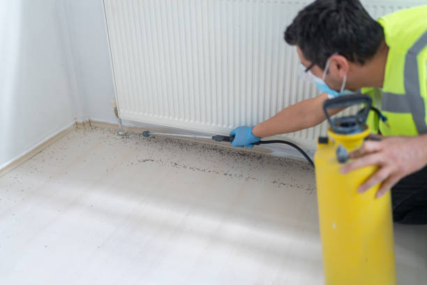 Best Mosquito Control Services  in Adamsville, AL