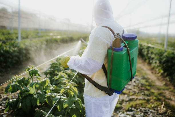 Best Residential Pest Control  in Adamsville, AL